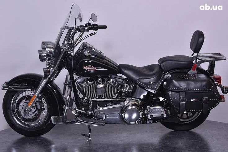 Harley-Davidson FLSTC  Image 3