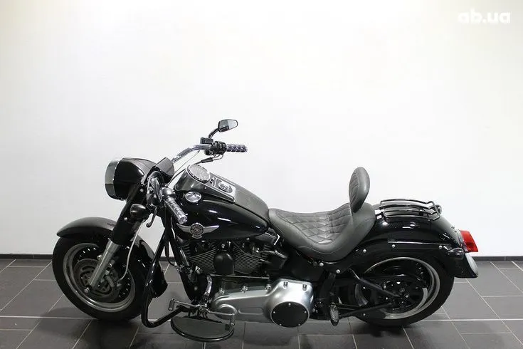 Harley-Davidson FLSTF  Image 5