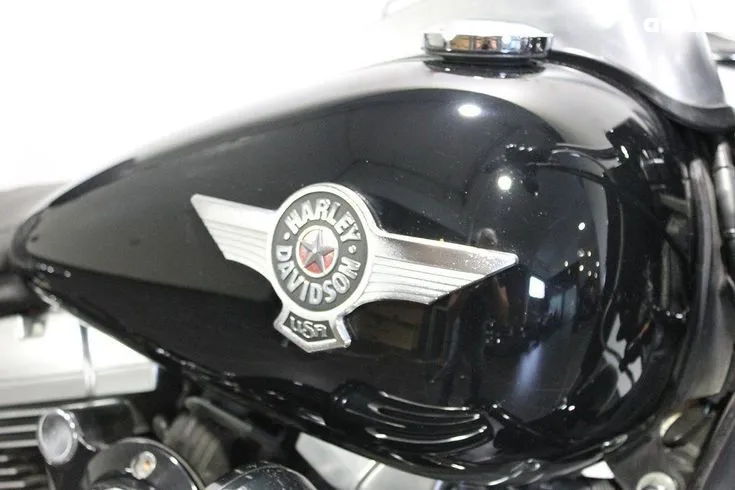 Harley-Davidson FLSTF  Image 8